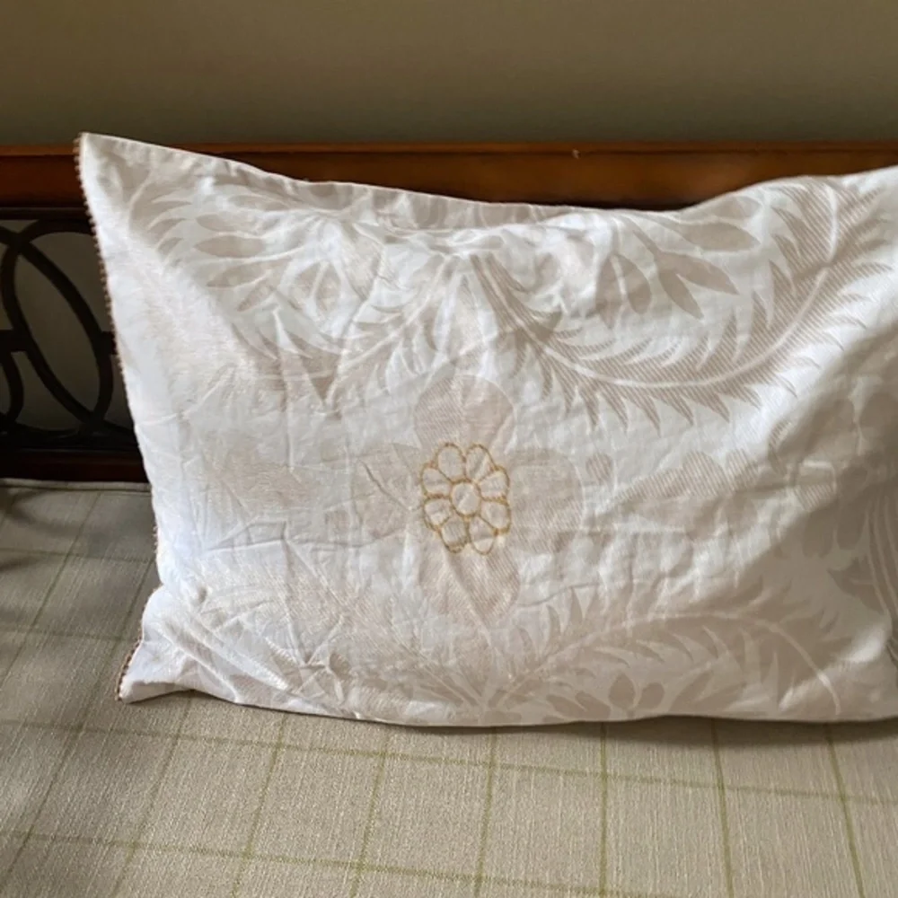 Anthropologie nwot also
